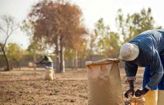 gamme-agriculture gamme-agriculture